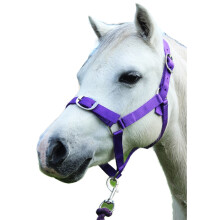 (Pony, Purple) Gallop Horse Headcollar and Leadrope Set