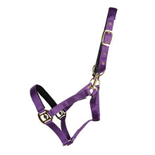 (Cob, Purple) Hy Fieldsafe Horse Headcollar
