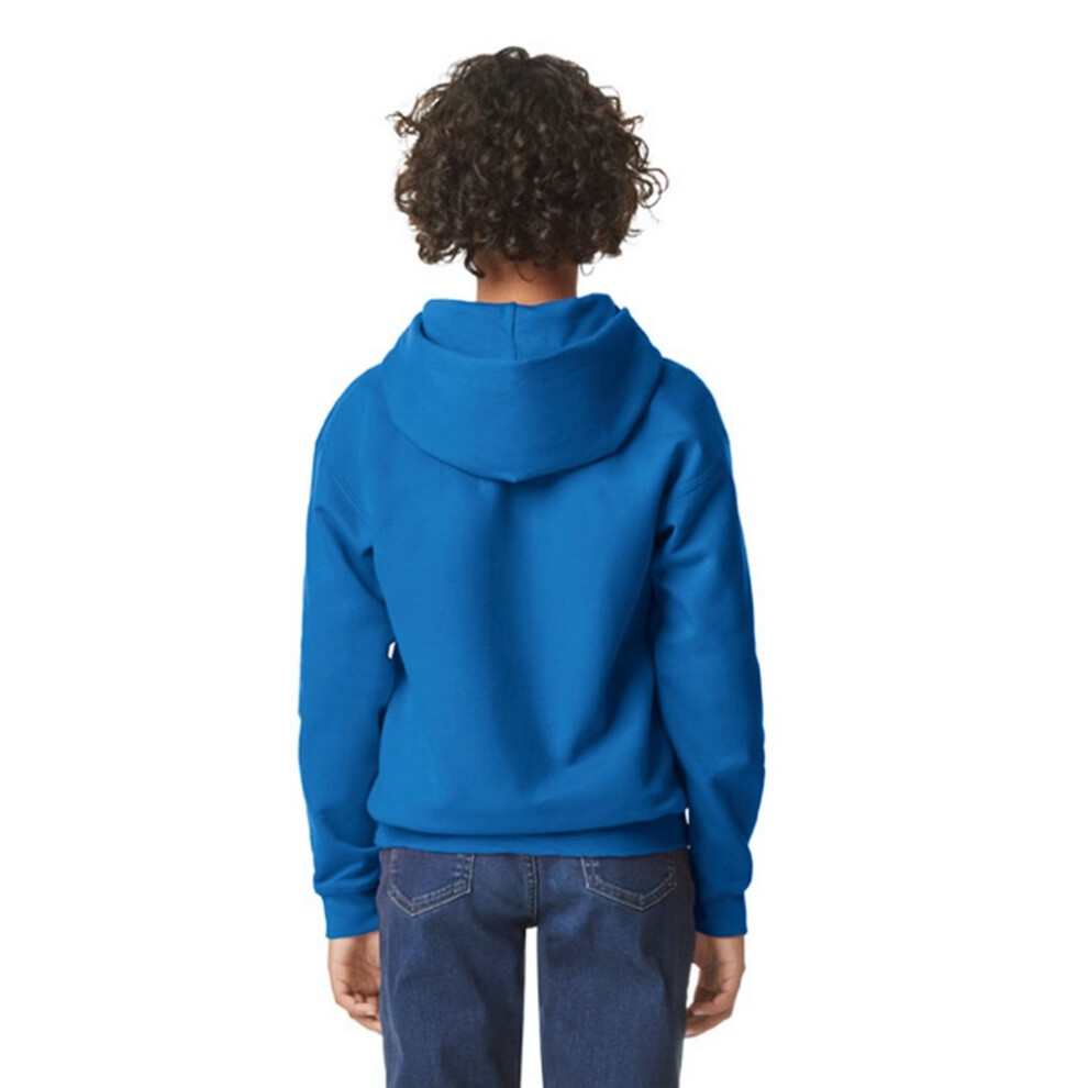Gildan (3-4 Years, Royal Blue) Childrens/Kids Softstyle Plain Midweight Hoodie