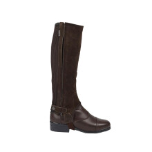 (Adults Xlarge, Brown) Dublin Unisex Suede Half Chaps II