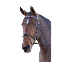 (X Full, Red/Navy) Blenheim Leather Polo Horse Browband