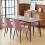 AINPECCA 4PCS Velvet Dining Chairs Rose Breakfast Metal Leg 7