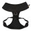 Regatta (M, Black) Regatta Dog Harness 3