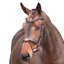 (Pony, Havana) Velociti Lusso Elite Leather Horse Flash Bridle