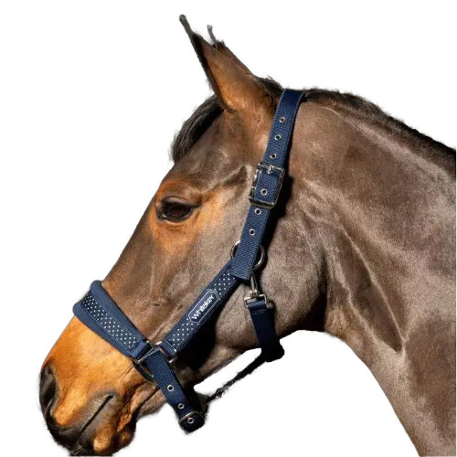 (Full, Navy) Whitaker San Francisco Horse Headcollar 1
