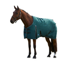 (6' 5", Forest Green/Black) Weatherbeeta Comfitec Classic Standard-Neck 220g Horse Turnout Rug