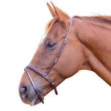 (Cob, Havana) Blenheim Leather Horse Flash Noseband