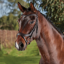 (Warmblood, Brown) Collegiate Comfitec Vogue Leather Horse Bridle