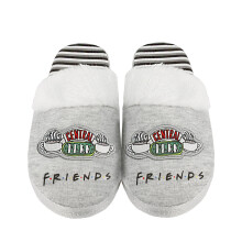 (3 UK-4 UK, Grey) Friends Girls Central Perk Slippers