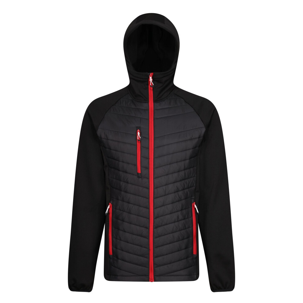 Regatta (Xl, Black/Classic Red) Mens Navigate Quilted Hybrid Jacket