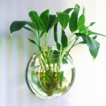 (Transparent,15cm)New Plant Wall Hanging Bubble Aquarium Bowl Fish Tank Aquarium Decoration Home