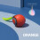 Interactive cat toy - Phoesky - Bouncing ball - Electric speed tail - Self-relieving 1