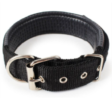 Collier de chien rembourré - Phoesky - Boucle en métal réglable - Noir - Taille M - Nylon - 2.5x55 cm