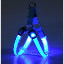 LED postroj pre domáce zvieratá - Phoesky - nastaviteľný - pohodlný - hrudný popruh - nabíjanie cez USB - modrý