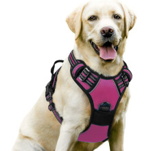 Hundetransportgeschirr - Phoesky - Größe L - Luxus - Trendig - Nylon - Knopfverschluss