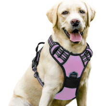 Hundetransportgeschirr - Phoesky - Größe L - Luxus - Trendig - Nylon - Knopfverschluss