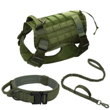 Haustiergeschirr - Phoesky - Nylon - Grün - XL - Für Hunde und Katzen - Halsband- und Leinen-Set