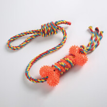 Interactief kauwspeelgoed voor honden - Phoesky - Tandenborstel - Onverwoestbaar - Nylonrubber - 16x7x4 cm