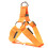 Phoesky LED Pet Harness - Adjustable - Comfortable - Chest Strap - USB Charging - Orange - Size M 1