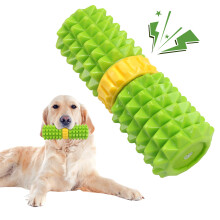 Zahnpflege-Kauknochen für Hunde - Phoesky - Bissfest - Interaktives Spielzeug - Quietschgeräusch - Grün - 16 x 5 x 5 cm