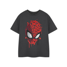 (9-10 Years) Marvel Spiderman Short Sleeved T-Shirt (Boys Grey)
