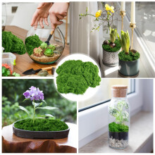 Simulated Green Lawn Gardening Bonsai Decoration Wedding Decoration of Easter Dining Table
