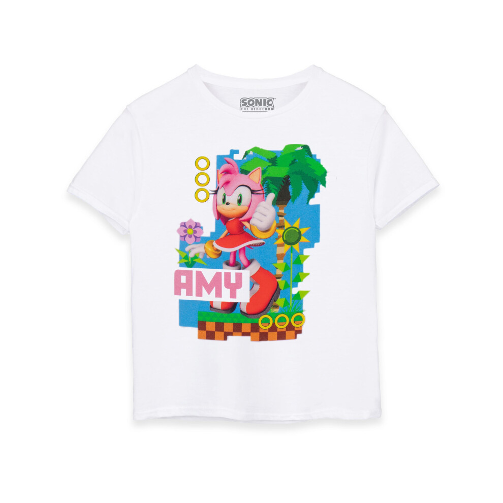 Sonic The Hedgehog (5-6 Years) Short Sleeved T-Shirt (Unisex Kids White)