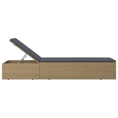 VidaXL vidaXL Sonnenliege Poly Rattan Braun und Dunkelgrau 2
