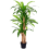 Outsunny Planta Dracaena Artificial Verde 20 x 20 x 160 cm 1