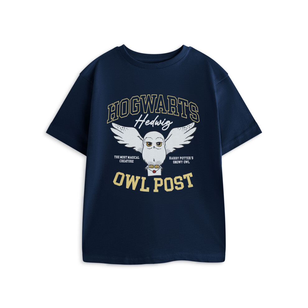 Harry Potter Women's Blue Girl's Short Sleeved T-Shirt | Navy | Official Merch In | Size: 11-12 Years - Image 2
