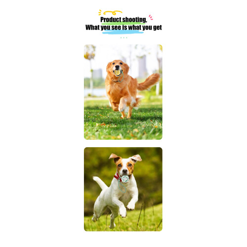 Interactive dog ball - Phoesky - Elastic - Biodegradable - Organic base - Seven colors 1
