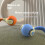 Interactive Pet Toy - Phoesky - Bouncing Ball - Automatic Play Function - Anti-Boredom 3