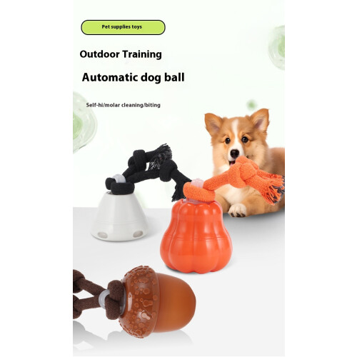 Interactive Dog Toy - Phoesky - Electric - Rechargeable - Sound-Making - Bouncing Bite 1