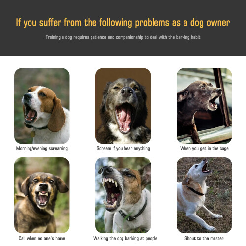 Automatic anti-barking collar - Phoesky - Waterproof - 7 adjustable speeds - Low power - Comfortable 2