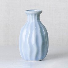 Bouteille d'aromathérapie en céramique, vase décoratif pour la maison, petit vase hydroponique, bleu