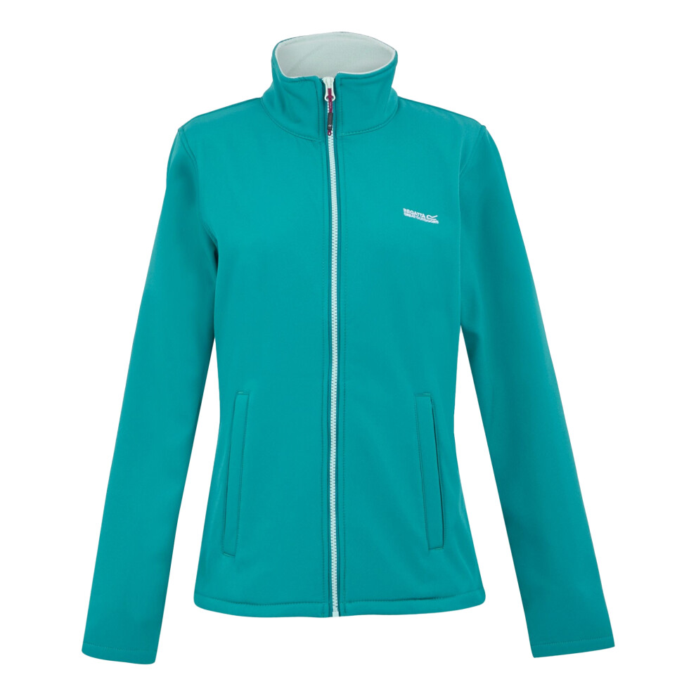 Regatta (14 Uk, Exotic Plume/Icy Morn) Womens/Ladies Connie V Softshell Walking Jacket