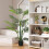 Homcom Palmera Artificial Verde 20 x 20 x 170 cm 3