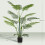 Homcom Palmera Artificial Verde 20 x 20 x 170 cm 4