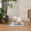 PawHut Empapadores para Perro Azul 45 x 30 cm 2