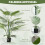 Homcom Palmera Artificial Verde 20 x 20 x 170 cm 5