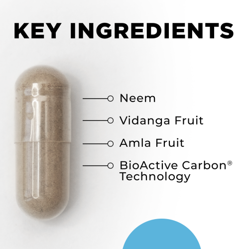 CELLCORE Para 2 Immune and Digestive Support 120 Caps 2