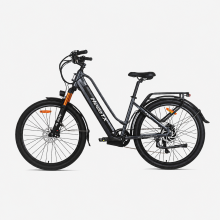 HedaTX TX10 350W 48V15.6AH Electric Bike,Grey