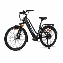 HedaTX TX10 350W 48V15.6AH Electric Bike,Black