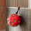 Oypla Oypla Coco Equestrian Multifunctional Horse Bucket Hanger Hook and Loop Strap 3