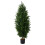 Living And Home 150cm Decorative Artificial Cypress Tree in Pot 4