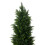 Living And Home 150cm Decorative Artificial Cypress Tree in Pot 5