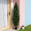 Living And Home 150cm Decorative Artificial Cypress Tree in Pot 1