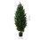 Living And Home 150cm Decorative Artificial Cypress Tree in Pot 7