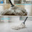 Highly Absorbent Cotton Mop Set with Spare Head 3