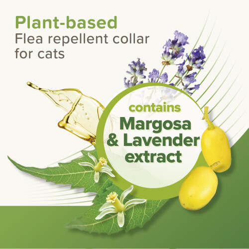 Beaphar Beaphar VETOpure Plant-Based Protection Flea Collar for Cats 2